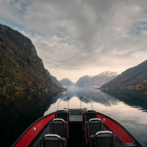 Fjord Adventure RIB Safari
